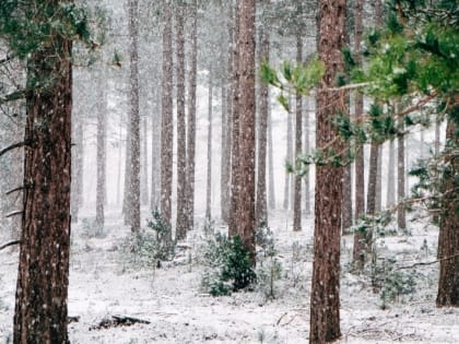 Церковный праздник на 11 февраля 2024 года: народные приметы на Лаврентьев день