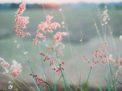 Церковный праздник 13 июля — Собор двенадцати апостолов, приметы, что нельзя делать