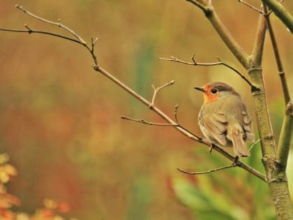 Народные приметы на 10 апреля — что нельзя делать в этот день