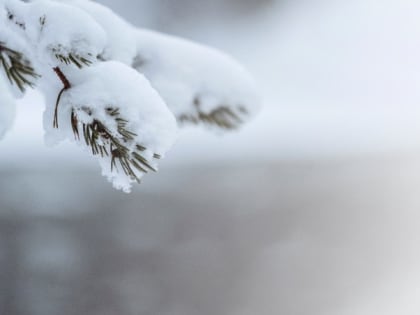 Ясное небо и северо-западный ветер ожидаются в Сахалинской области 11 февраля