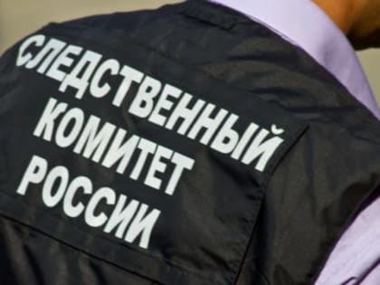 Следком начал проверку по факту жесткой посадки самолета Ан-24 в аэропорту Ноглики