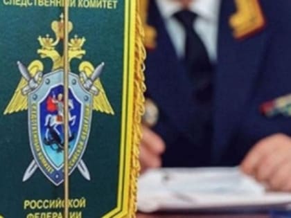 По факту смерти жительницы Анивского района возбуждено уголовное дело.