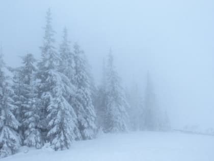 Метель ожидается в Сахалинской области 28 февраля