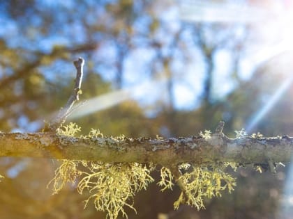 Синоптики спрогнозировали солнечную погоду 2 мая в Сахалинской области