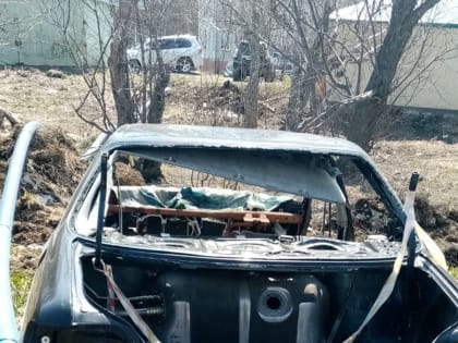 На Камчатке начнут активно бороться с "подснежниками"