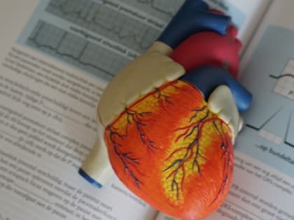 Проектный офис для улучшения диагностики хронических заболеваний создали на Сахалине