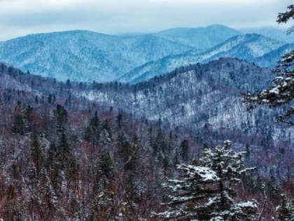 Небольшой циклон — прогноз погоды на Сахалине и Курилах на неделю