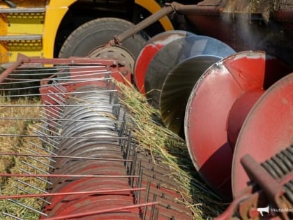 Пока вы спали: рост заболеваемости гриппом и ОРВИ в РФ и протесты фермеров в Берлине