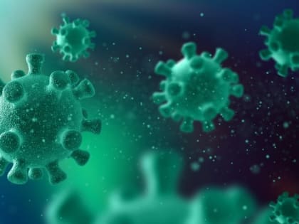 Роспотребнадзор предупредил о гриппе и кишечных инфекциях на Сахалине и Курилах