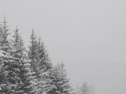 Метель накроет несколько районов Сахалинской области 15 января