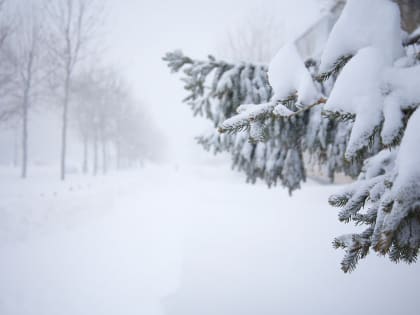 25 и 26 января в окрестностях Южно-Сахалинска лавиноопасно