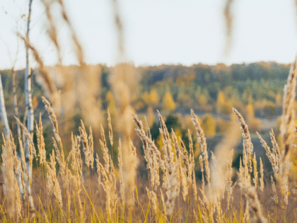 Жаркое лето — прогноз погоды на Сахалине и Курилах 9 июля