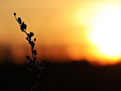 Церковный праздник на 9 марта 2024 года: народные приметы на Иванов день