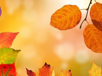 Картинки и открытки на Покров Пресвятой Богородицы 2023