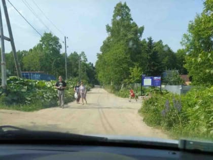 Важные вопросы о СНТ. Что делать с долгами участников товарищества и какие права у его председателя?