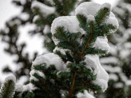 Погода на Сахалине 13 января: небольшой снег и умеренный ветер