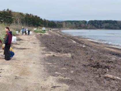 В Сахалинской области подвели итоги экологической акции "Вода России" за весенний период
