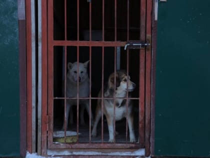 Пожар в приюте 