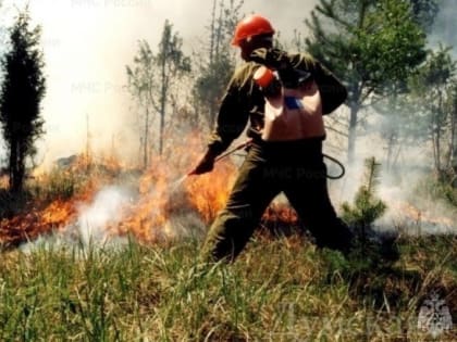 В Углегорске дважды за день полыхала сухая трава