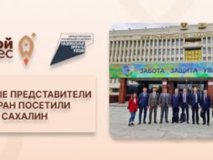 Сахалинским предпринимателям рассказали, как выйти на иностранный рынок