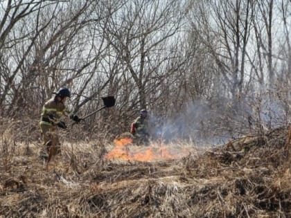 Пожарные ликвидировали возгорание сухостоя в Углегорске