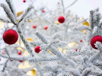 Циклон уже на подходе. Какой будет погода в новогоднюю ночь?