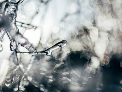 Дождь, ветер и немного солнца — прогноз погоды на Сахалине и Курилах на неделю