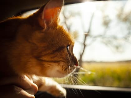 Прогноз погоды на 7 мая в Сахалинской области