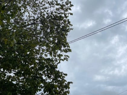 Погода на Сахалине: дожди и температура до 25 градусов