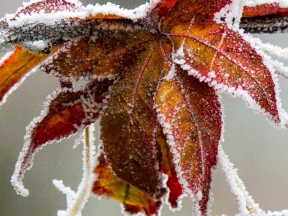 Морозная погода и ветер ожидаются в Сахалинской области 16 февраля