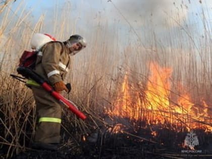 Два очага возгорания сухой травы ликвидировали в Сахалинской области