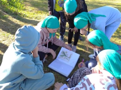 В Корсакове прошли соревнования «Тропами родного края»