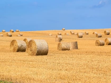Церковный праздник 3 августа — день пророка Иезекииля, приметы, что нельзя делать