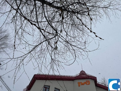 Крещенское чудо засняли сахалинцы