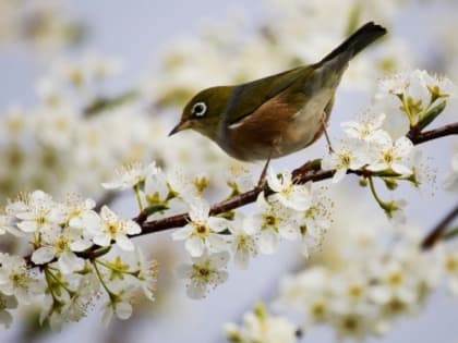 Народные приметы на 26 апреля — что нельзя делать в этот день