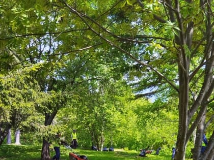 4 июня в Южно-Сахалинске продолжаются работы по благоустройству