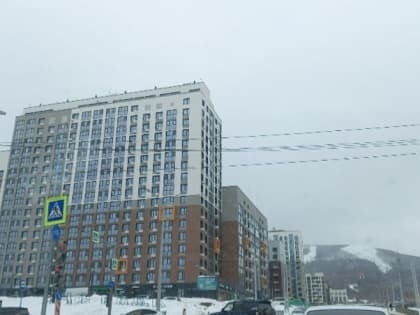 Облачную погоду спрогнозировали синоптики в Южно-Сахалинске 2 марта