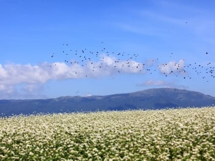Народные приметы на 27 июня — что нельзя делать в этот день