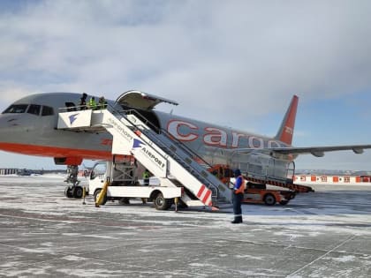 «Островная» продолжает тратить деньги на перевозку птиц самолетами