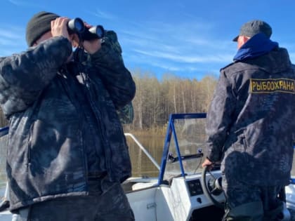 За неделю сахалинцы и курильчане выплатили 159 тысяч рублей за незаконную рыбалку