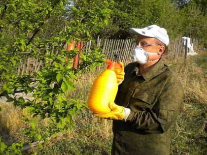 Нашествие, которое надо остановить. Сегодня темой нашего разговора будет защита растений от вредителей и болезней