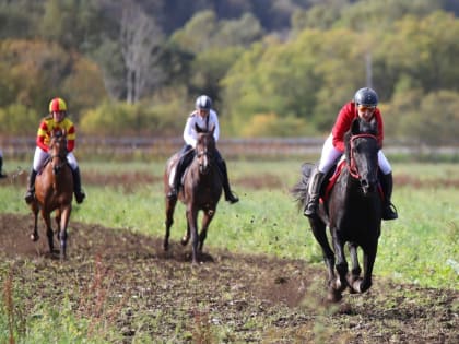 В селе Огоньки завершилось традиционное "Сахалинское Дерби"