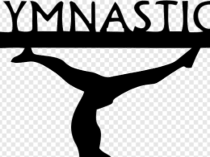 Сахалинские гимнастки завоевали несколько медалей «Тихоокеанской волны»