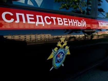Завершено расследование уголовного дела по обвинению сахалинцев в незаконной охоте на северного оленя в Охинском районе