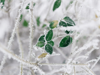 Зима все ближе— прогноз погоды на Сахалине и Курилах на 25 ноября
