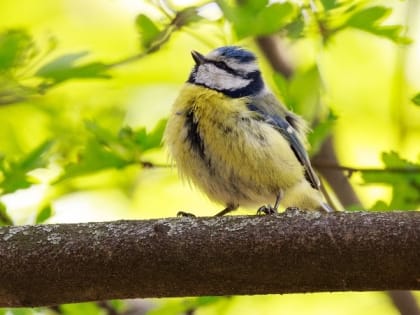 Народные приметы на 1 мая — что можно и нельзя делать на Кузьму-огородника
