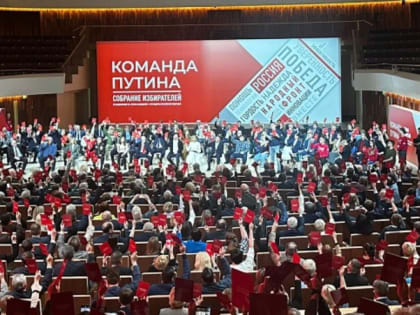 «Сбор подписей»: сахалинские общественники назвали условия участия Путина в выборах