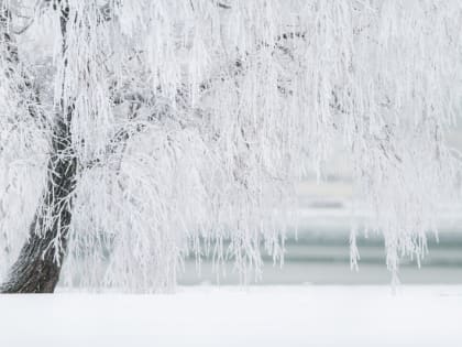 Церковный праздник на 7 декабря 2023 года: народные приметы на Екатерину Санницу