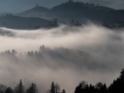 Дожди и туманы придут в некоторые районы Сахалинской области 28 июля