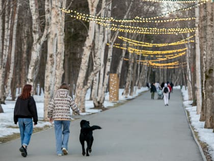 Набухли почки, зеленеют листочки: весенние фотокарточки от Citysakh.ru